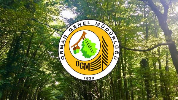 Orman Genel Müdürlüğü 5.000 Geçici İşçi Alacak