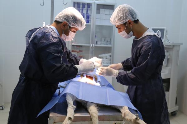 AHİKA, ASÜ hayvan hastanesi fizibilite projesini onayladı