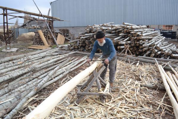 Odun pazarı esnafı yaz mevsimi için hazırlanıyor