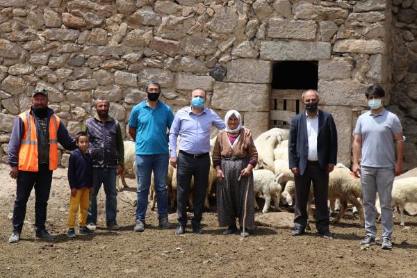 Koyunları telef olan yetiştiriciye valilikten destek