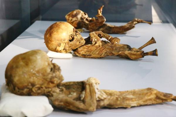 9. ve 11. yüzyıla ait insan ve hayvan mumyaları