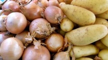 Patates ve soğanda  ihracata izin şartı