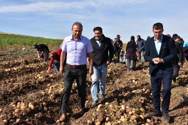 Aksaray’da patates ekimi yasaklanmadı!