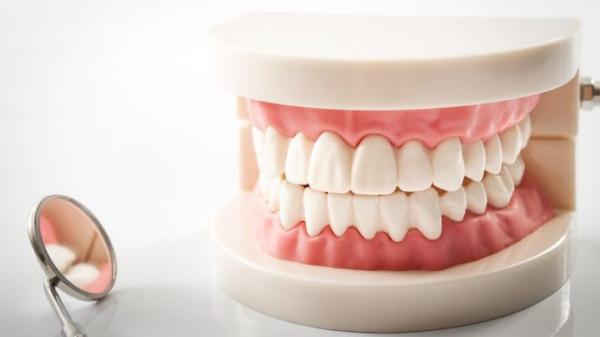 Diş protez laboratuvar hizmeti alınacaktır