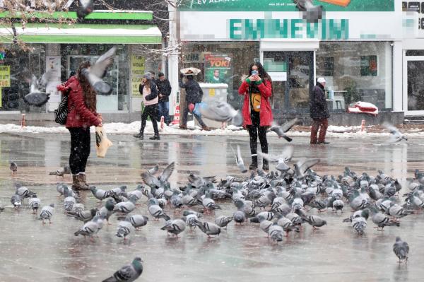 Soğuk havada kuşlara  vatandaşlardan yem