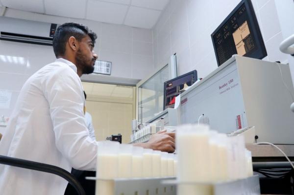 ‘Süt üretimindeki kaliteyi artırmak için pilot il seçildik’