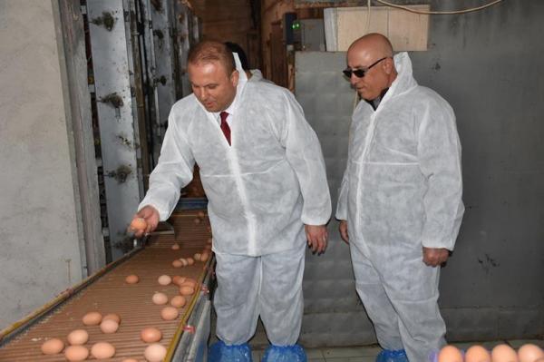 Saklav, yumurta üretim tesisini ziyaret etti