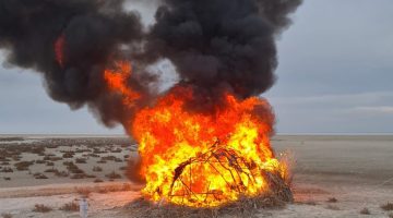 Tuz Gölü’nde kaçak ördek ve kaz avlanılan 15 güme yakıldı