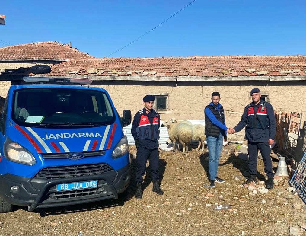 Jandarma, kaybolan 8 koyunu drone ile buldu