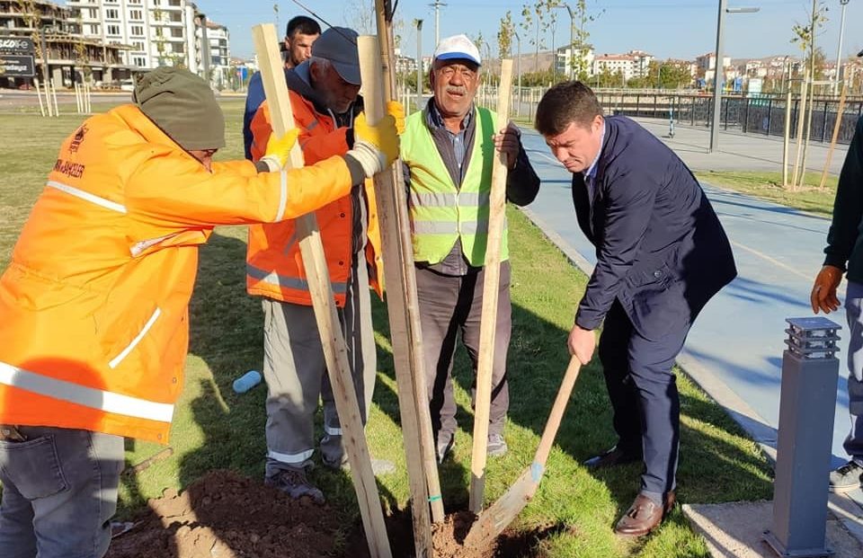 Aksaray’da ağaçlandırma faaliyetleri devam edecek