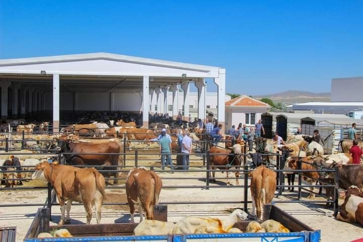 Ortaköy canlı hayvan pazarı hizmete açıldı