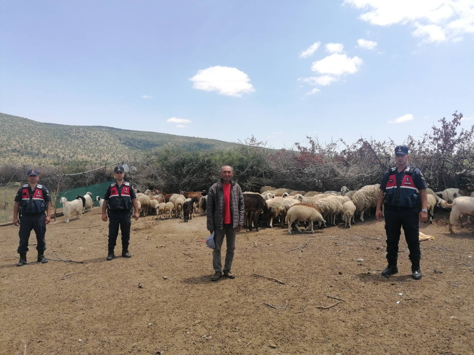 Aksaray’da jandarma kayıp 100 koyunu drone ile 1 saatte buldu