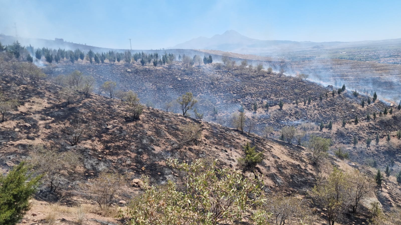 Kuru ot yangını ormanlık alandaki 5 bin fidanı kül etti