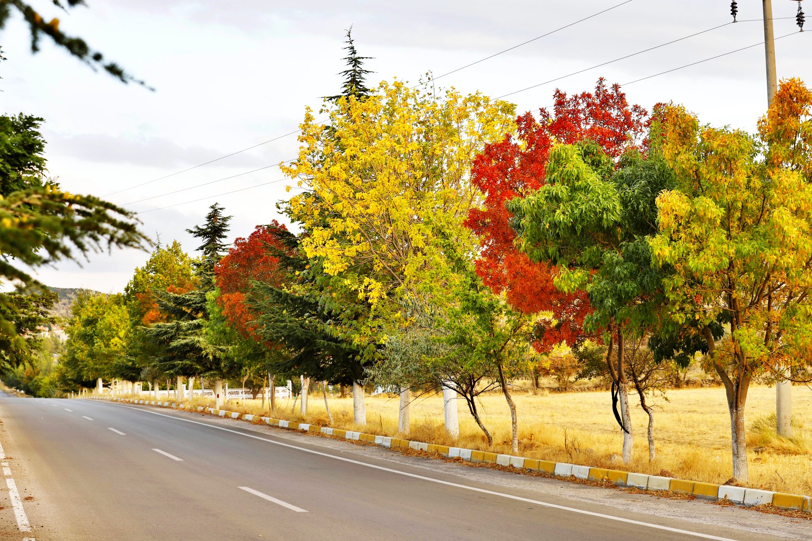 Aksaray’da sonbahar renkleri hakim olmaya başladı