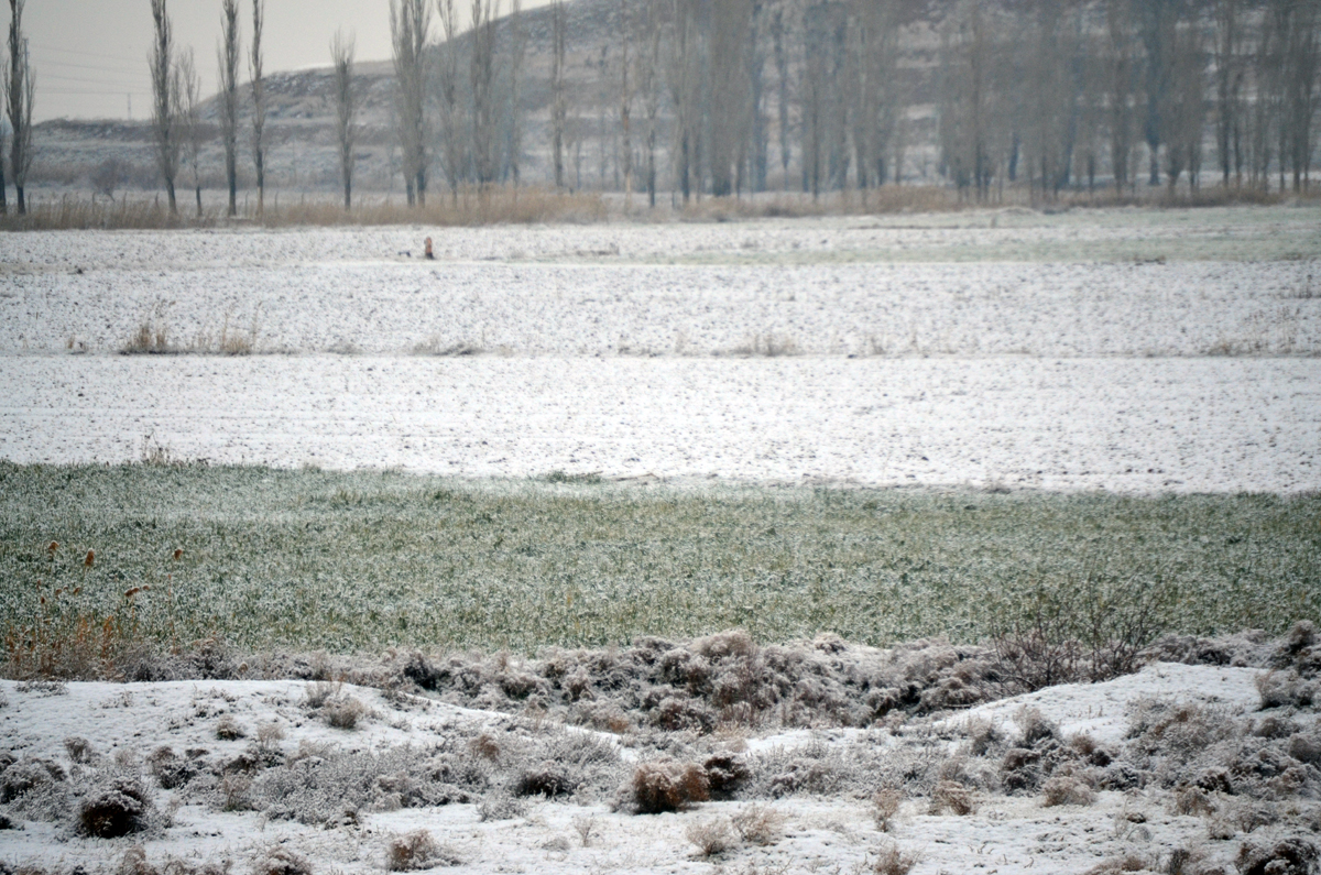 Kar yağışı Aksaraylı çiftçileri sevindirdi