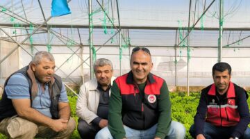 Aksaray’da sebze üretimi yılın 12 ayına yayılacak